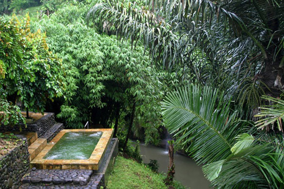 Куќа од бамбусово дрво во тропските шуми на Бали