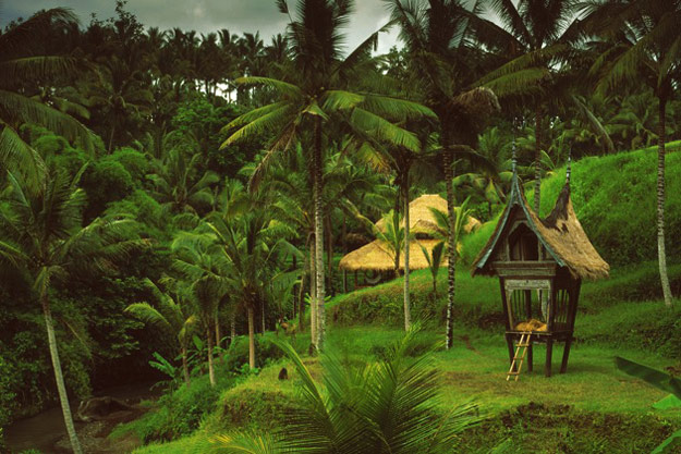 Куќа од бамбусово дрво во тропските шуми на Бали