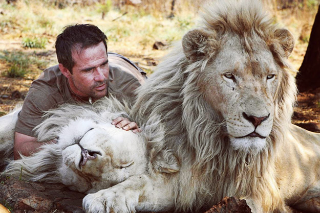 Човекот кој се прегрнува со лавови