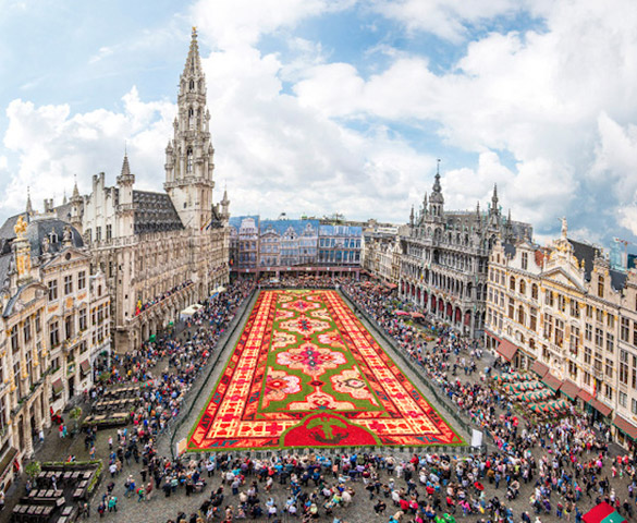 Brussels-Flower-Carpet-iLike-mk-005