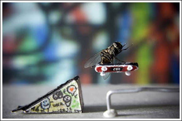 Муви во поинакво издание