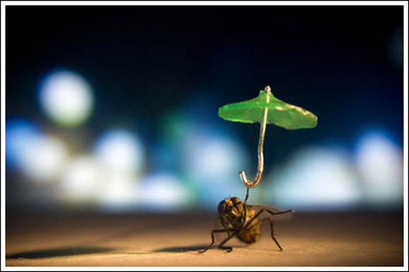 Муви во поинакво издание