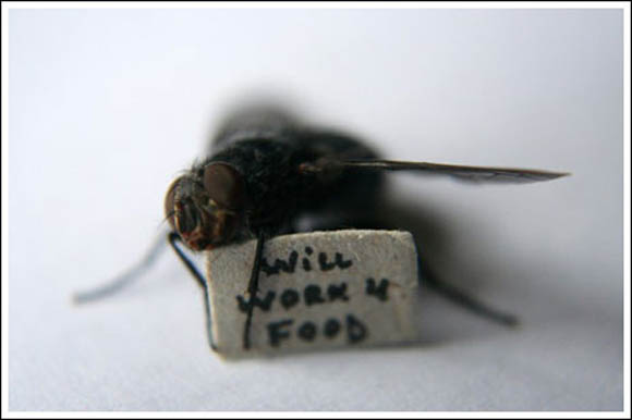 Муви во поинакво издание