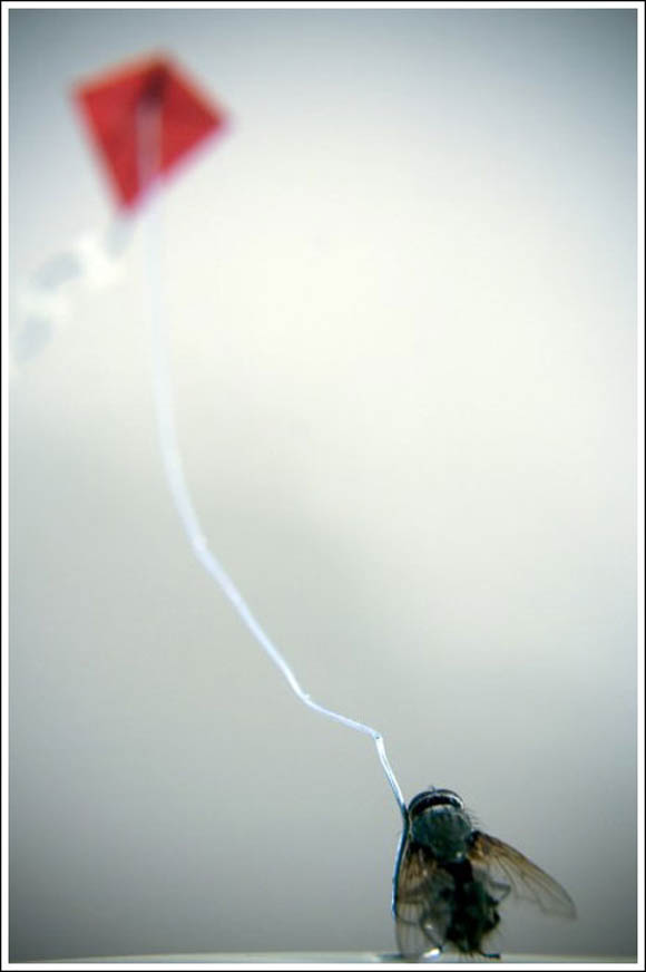 Муви во поинакво издание