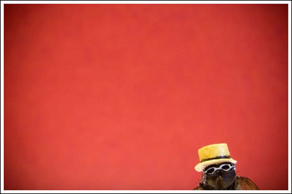 Муви во поинакво издание