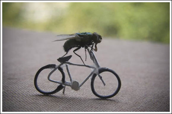 Муви во поинакво издание