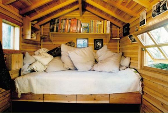 Амазонски куќи