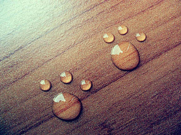 Инспирација од малите нешта