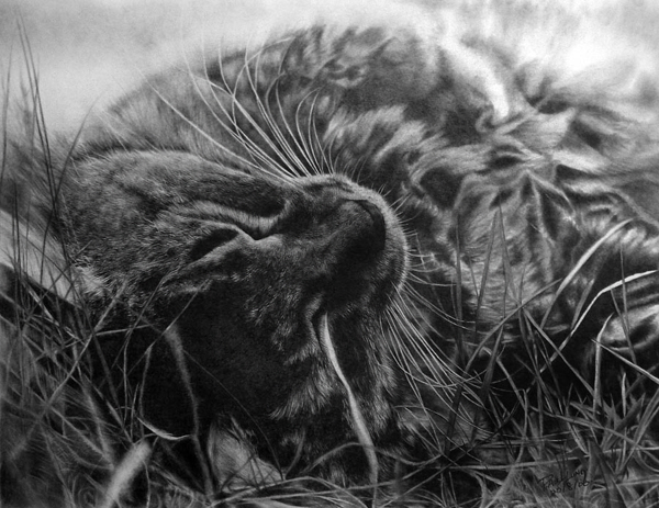 Неверојатни цртежи со молив