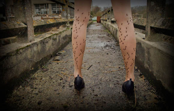 Откачени хулахопки