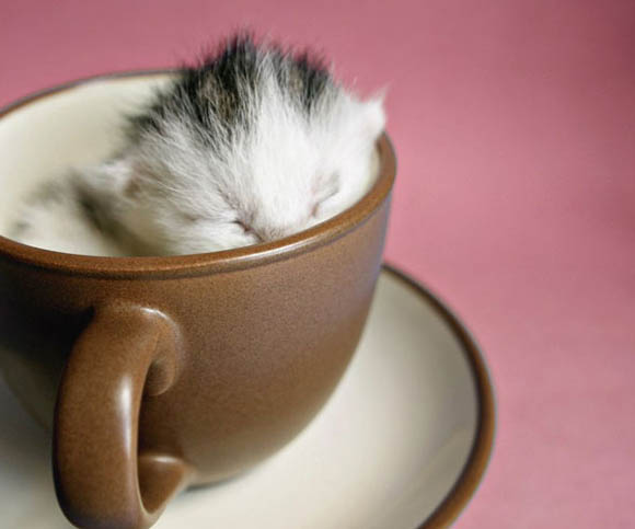 Инспирација од малите нешта