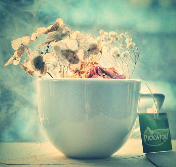 Инспирација од малите нешта