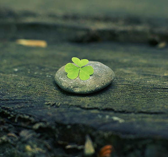 Инспирација од малите нешта