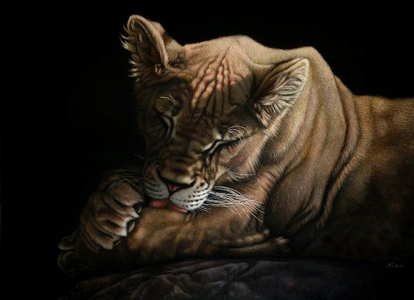 Фантастичните цртежи на Лара