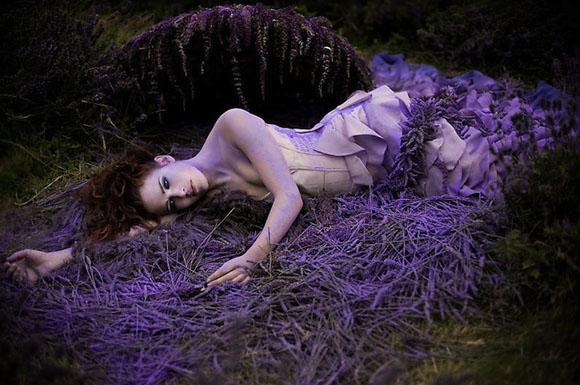 Земјата на чудата