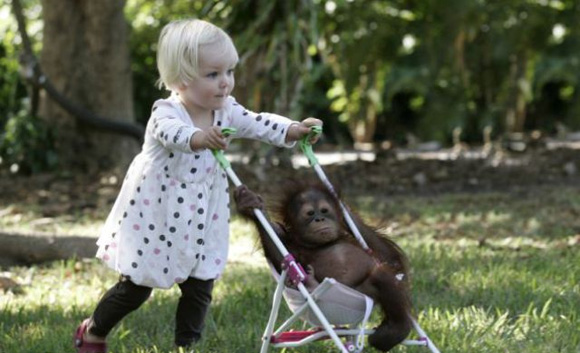Мајмунче како најдобар другар