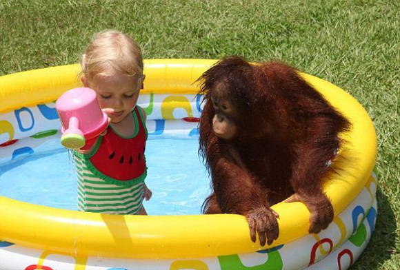 Мајмунче како најдобар другар