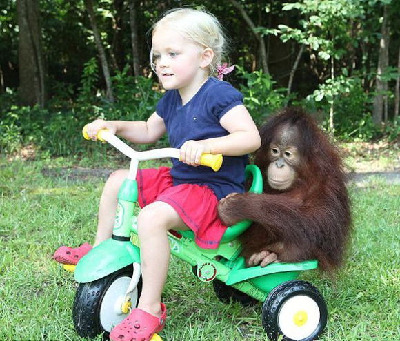 Мајмунче како најдобар другар
