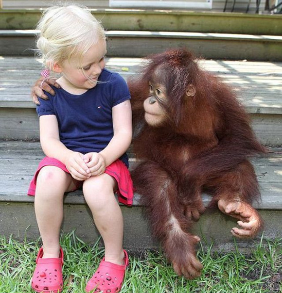 Мајмунче како најдобар другар