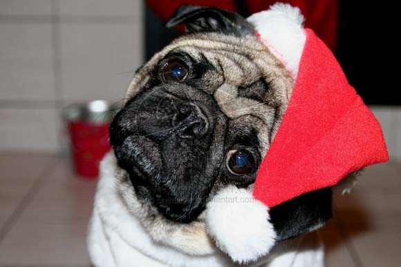 Миленичиња со капата на Дедо Мраз