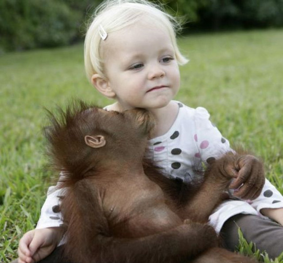 Мајмунче како најдобар другар