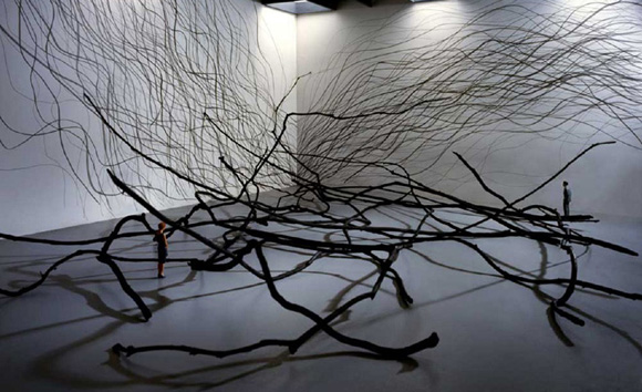 Толку мали во големиот свет