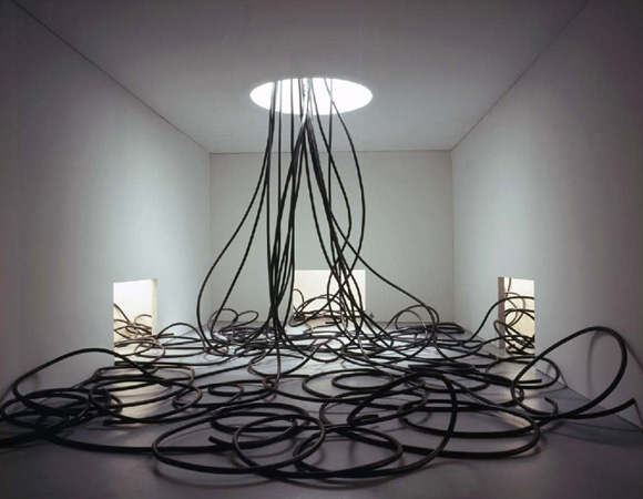 Толку мали во големиот свет