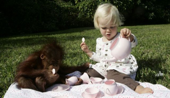 Мајмунче како најдобар другар