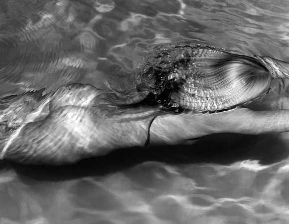 Морето на изгубената сирена