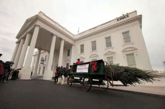 Новогодишната елка на Белата Куќа
