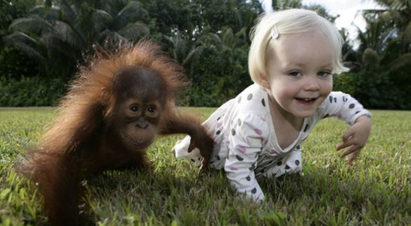 Мајмунче како најдобар другар