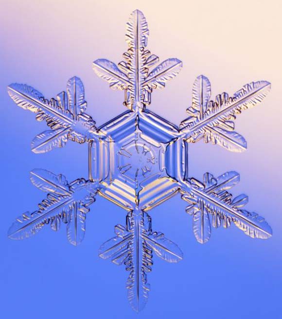 Снегулките под микроскоп