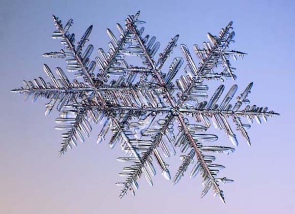 Снегулките под микроскоп