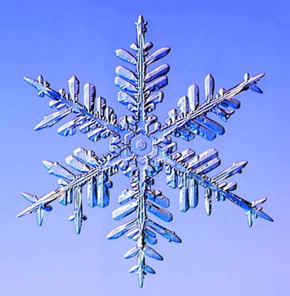 Снегулките под микроскоп