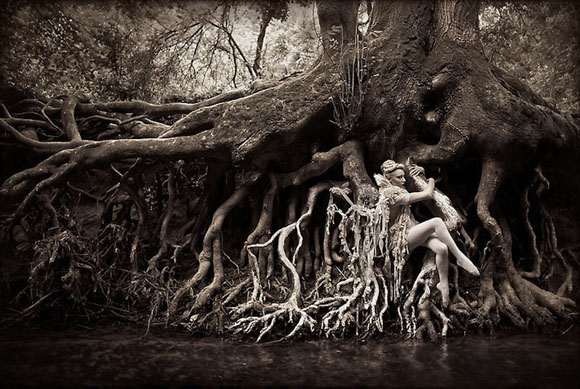 Земјата на чудата