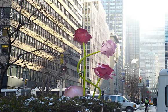 Розите на Њујорк