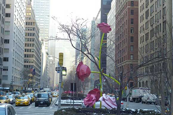 Розите на Њујорк