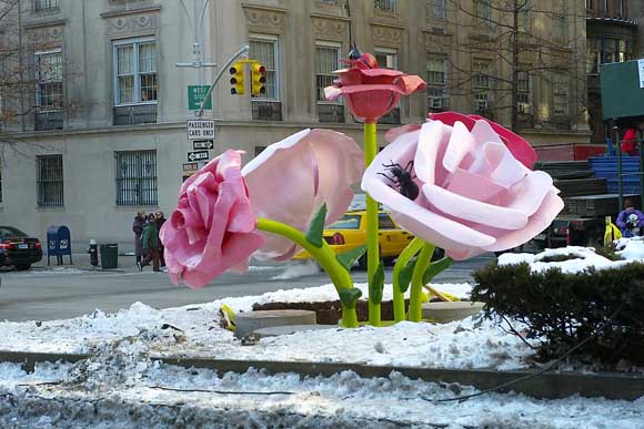 Розите на Њујорк