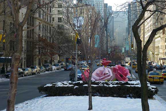 Розите на Њујорк