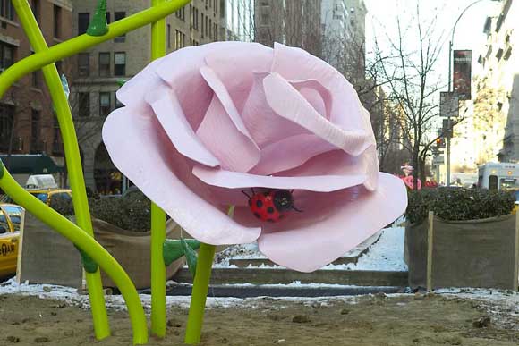 Розите на Њујорк