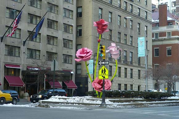 Розите на Њујорк