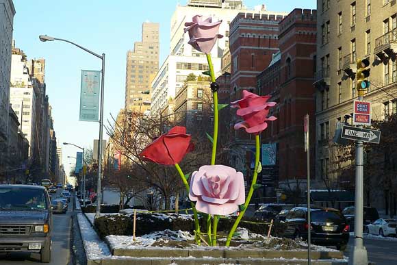 Розите на Њујорк
