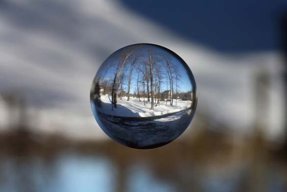 Цел свет во една мала џамлија