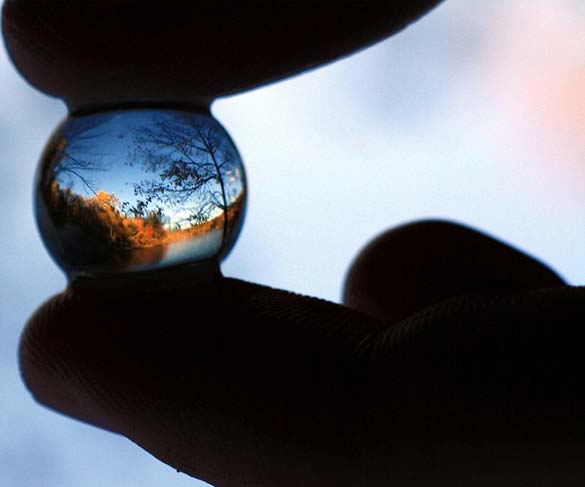 Цел свет во една мала џамлија