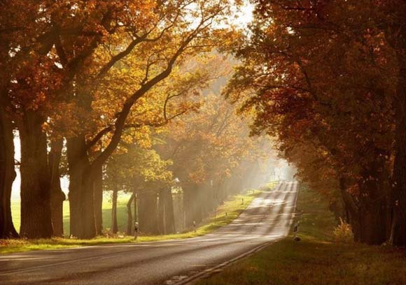 Волшебството на патиштата