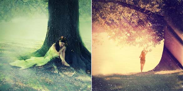 Помеѓу јаве и сон