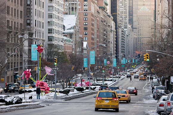 Розите на Њујорк