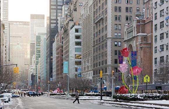 Розите на Њујорк