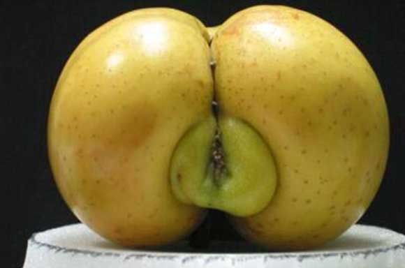 Природата во секси издание