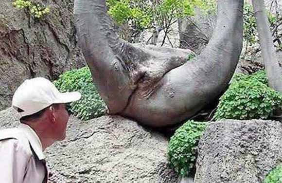 Природата во секси издание